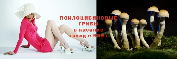 mix Алексеевка