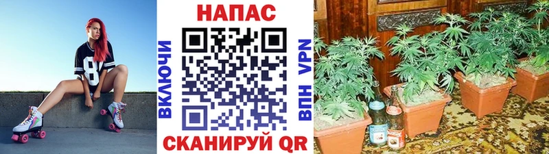 Марихуана LSD WEED  где продают наркотики  Карачев 